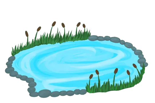 pngtree-cattail-pond-clipart-png-image_6176660